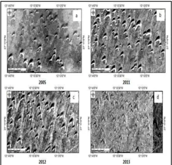 Figure 6: Binary images: dunes in yellow color (a 2005, b  2011, c 2012, d 2013) 