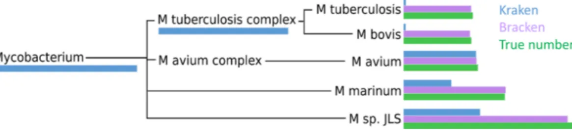 Figure 4 Number of reads within the Mycobacterium genus as assigned by Kraken (blue), estimated by Bracken (purple) and compared to the true read counts (green)