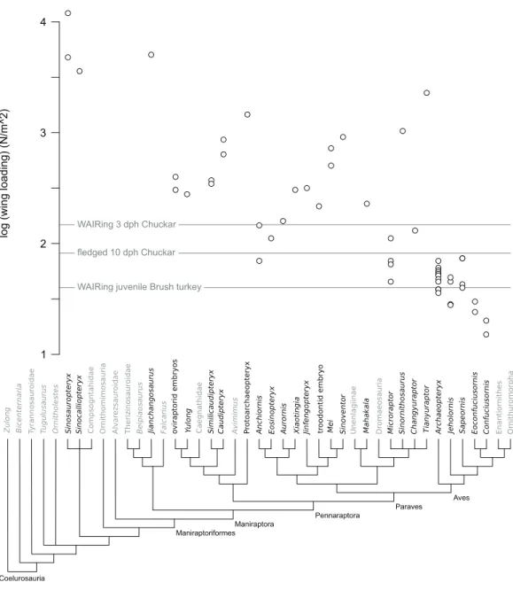 Figure 1 Wing loading values in non-avian theropods. Each open circle denotes the value per spe- spe-cimen for taxa with multiple spespe-cimens included in analysis