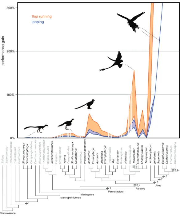 Figure 3 Evolution of flight stroke enhancements to flap running (orange) and vertical leaping (blue) performance