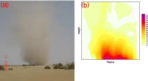 Figure 5. The DD observed on 13 July 2014 with (a) original photo and (b) the quantized DD’s opacity.
