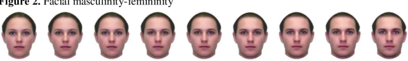 Figure 2. Facial masculinity-femininity  