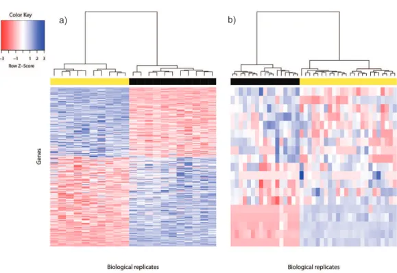 Figure 1 Heat map of differentially expressed genes in (A) Bottomly data set (362 DEG) and (B) Cheung data set (19 DEG)