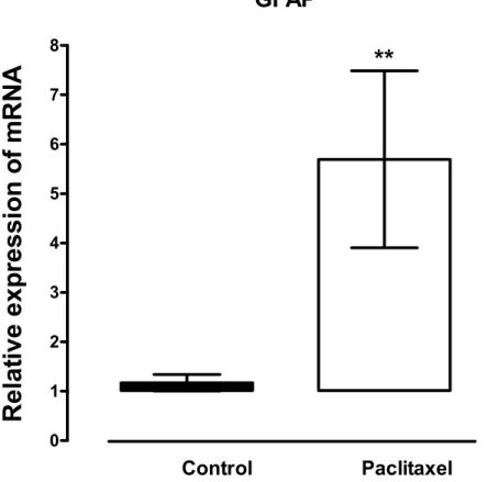 Figure 1 Effects of paclitaxel on glial fibrillary acidic protein (GFAP) transcript levels in the anterior cingulate cortex (ACC)