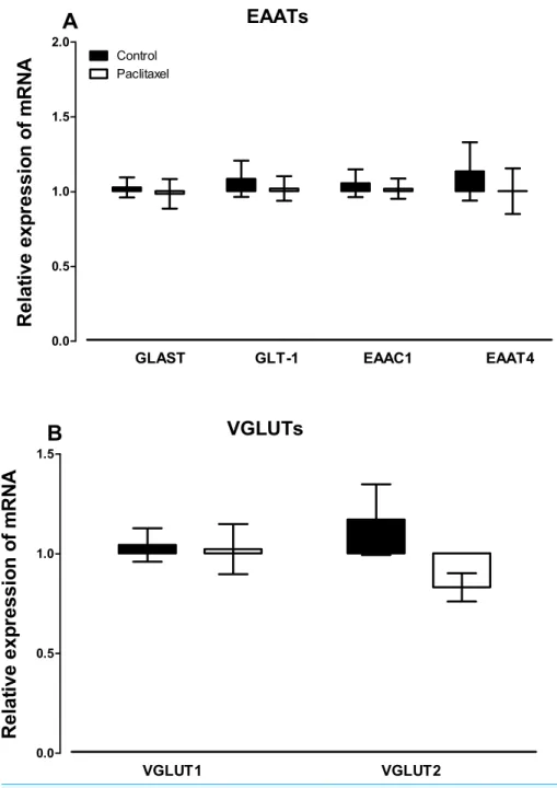 Figure 3 Effects of paclitaxel on glutamate transporters transcript levels in the anterior cingulate cortex (ACC)