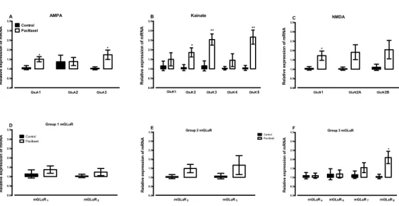 Figure 4 Effects of paclitaxel on glutamate receptors transcript levels in the anterior cingulate cortex (ACC)