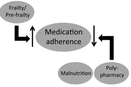 Figure 1 Schematic diagram illustrating the identified relationship between medication adherence and components of the geriatric syndrome among end-stage renal disease patients under chronic dialysis.