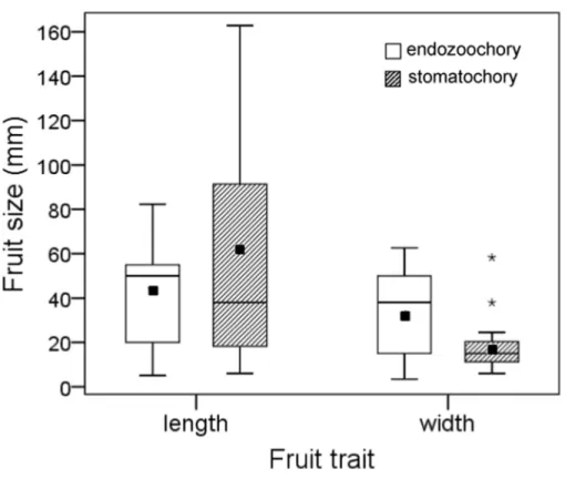 Figure 3 Size (length and width) of fruits whose seeds were dispersed by endozoochory and stoma- stoma-tochory by parrots