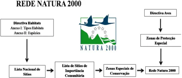 Figura 5: Representação esquemática dos procedimentos para a criação da Rede Natura 2000 (Adaptado  de ICN, 2006a; www.cofragi.pt