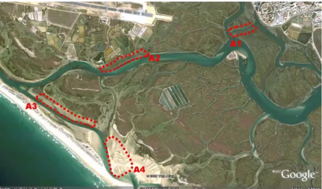 Figura 8: Mapa da localização geográfica da zona de estudo e áreas de amostragem (Adaptado de Google  Earth v5.0)