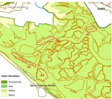 Figura 13: Mapa de representação do valor florístico, com indicação das áreas de amostragem (Adaptado  de Meireles, 2004b)