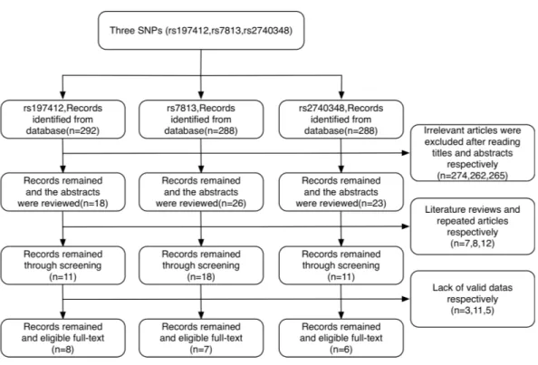 Figure 2 Flowchart for the identification of studies included in the meta-analysis.