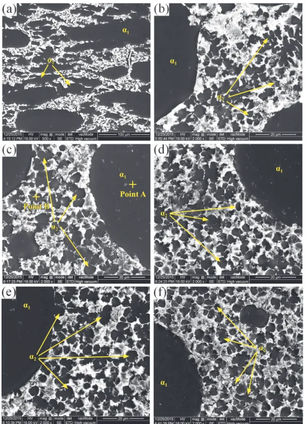 Fig. 7:   Second solidiication microstructure of rheo-diecasting A356 aluminum alloy in: biscuit, A (a); in-gate,  B (b); bottom, C (c); middle, D (d); top, E (e); centre, F (f)