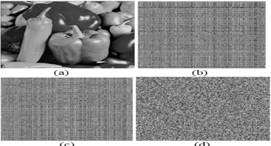 Figure 4: (a) plain image, (b) shuffling image rows, (c) shuffling image columns and (d): encrypted image
