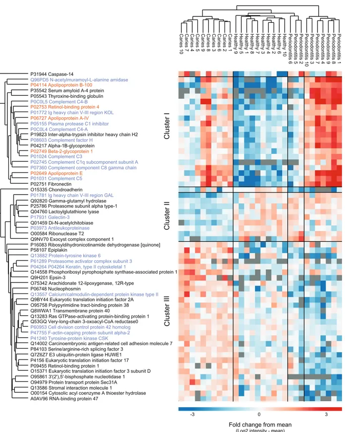 Figure 3 Potential biomarkers of oral health and disease. Intensity-based heat-map of proteins significantly differentially expressed between the three groups