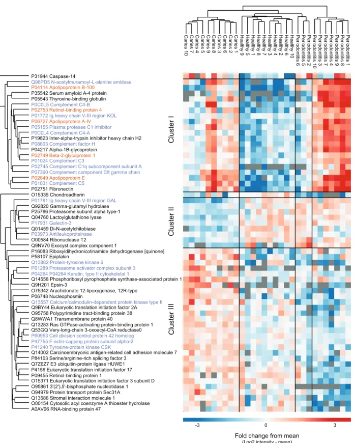 Figure 3 Potential biomarkers of oral health and disease. Intensity-based heat-map of proteins significantly differentially expressed between the three groups