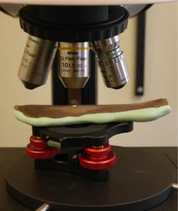 Fig. 2 View of the sample FLT1-7 during definition of the coordinate system with the S neox: a manual goniometer is used to orientate the region of interest as horizontally as possible and a silicon mold holds the sample in place