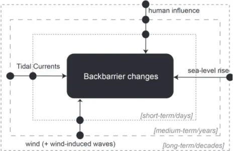 Figure 2.11 summarizes the main drivers and respective timescales of interaction, acting on the backbarrier shores of Ria Formosa