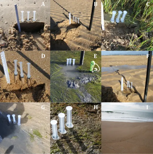 Figure 5: Sampling environments: A-intertidal flooding dunes (DEDE); B-intertidal sand flats (PIRE); 