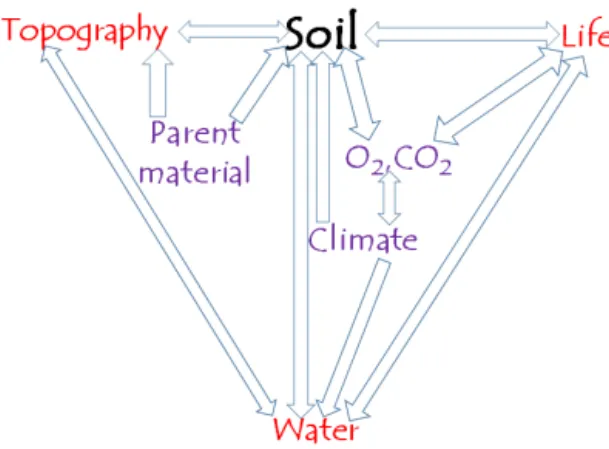 Figure 1. Inter-relationships between soil forming factors, ulti- ulti-mately controlled by parent material and climate, mediated by  wa-ter, life and topography over a range of time and space scales.