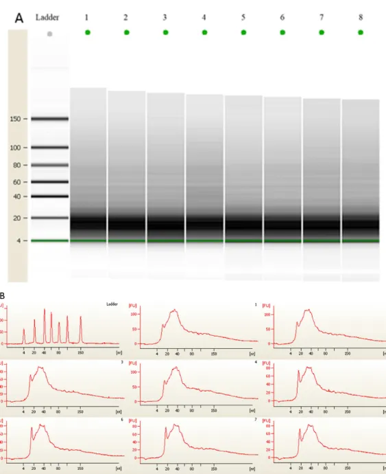 Figure 2 (A) Gel electrophoresis analysis of small RNA fractions on an Agilent small RNA chip.