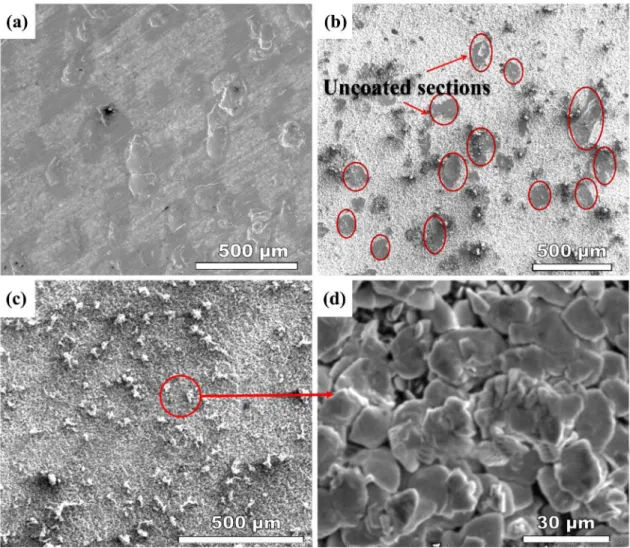 Fig. 3: SEM of the different process steps with zincate treatment of Al-22Si alloy: (a) removing of aluminum oxide, (b)  after double zinc dipping, (c) after electric galvanization, (d) enlargement of zincate morphologies in (c)