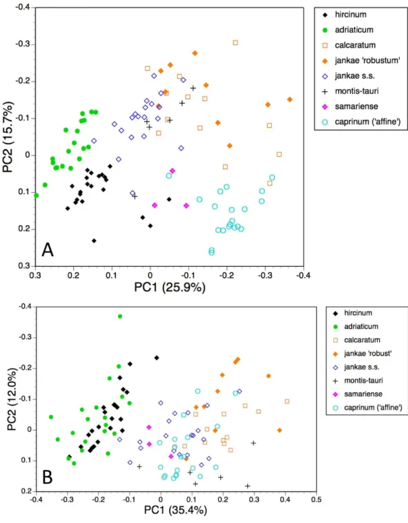 Figure 8 Principal coordinates plots for individual plants of the hircinum-caprinum clade only