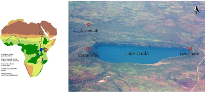 Figure 1. Lake Chala, situated in equatorial East Africa, on a continent-scale vegetation map (left) and with the different sampled habi- habi-tats (right)