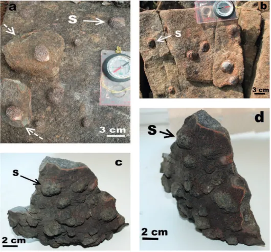 Figure 2 (a – d).  Typical patterns of spheroidal weathering in ultramaic rocks of the Pados-Tundra  (2a, b) and Monchepluton (2c, d; cf