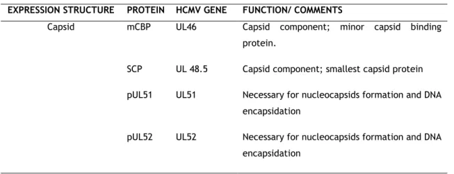 Table I. 2. Selection  of expression structure HCMV proteins. Adapted from Ref.  5  and  19 