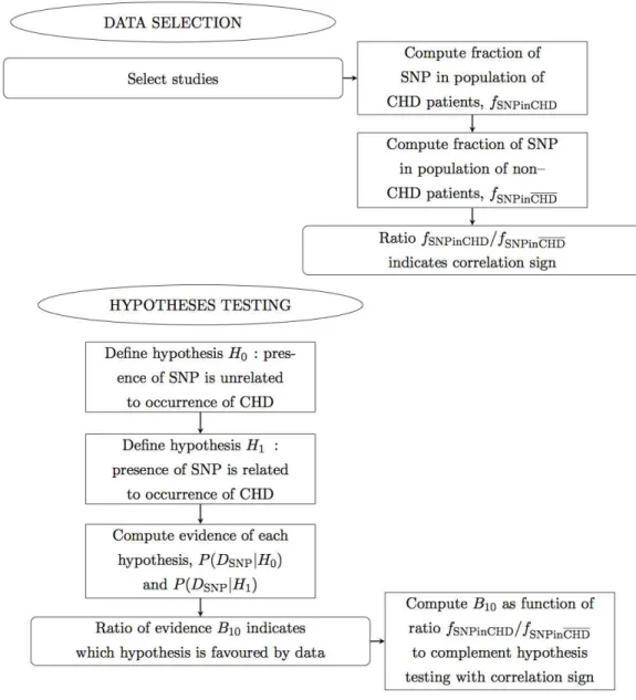 Figure 1 Flow chart. Panel 1 of 3. Ellipses indicate the main actions. Rectangles indicate detailed actions.