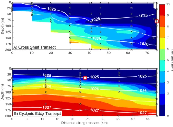 Figure 3 Eddy influence on vertical nutrient distribution. The distribution of dissolved nitrate (A) across the continental shelf to the East Australian Current, and (B) across the sampled cyclonic cold-core eddy