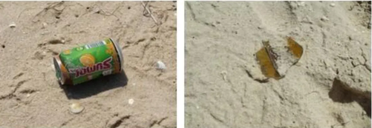 Figure 5.7. Scattered litter on the Ilha Deserta beach (photos by Semeoshenkova V., 2009)