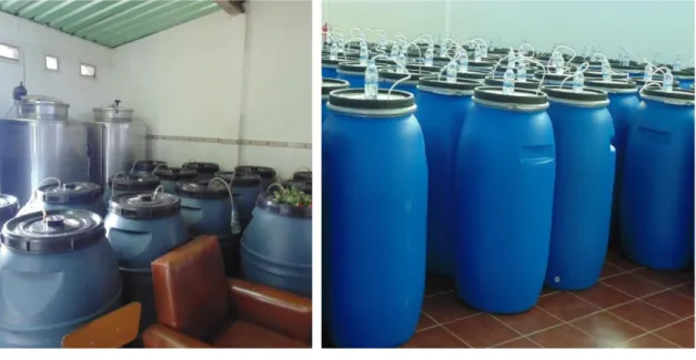 Figura  1.4  -  Fermentadores  de  medronho,  destilaria  Zé  Marafado,  Ameixial, 29 de janeiro de 2015