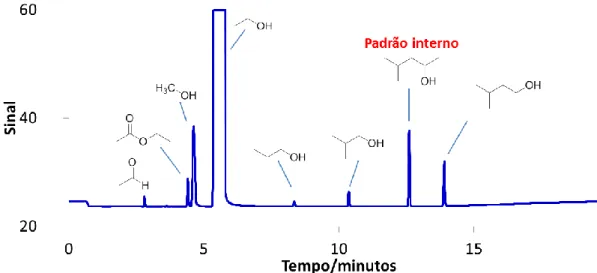 Figura  3.1  -  Cromatograma  típico  da  aguardente  de  medronho  (GC-FID),  obtido  por  injeção em natureza (direta)