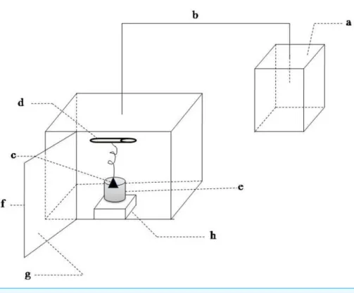 Figure 1 Schematic of sound waves load apparatus. (A) sound waves source; (B) sound waves transmis- transmis-sion conductor; (C) speaker; (D) ultraviolet light; (E) beaker; (F) metal case; (G) sound-absorbing  mate-rial; (H) magnetic stirrer.