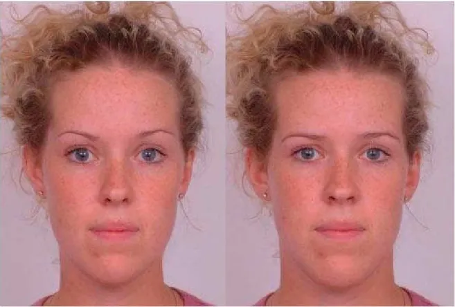 Figure 1. Examples of feminized (left) and masculinized (right) versions of a female face