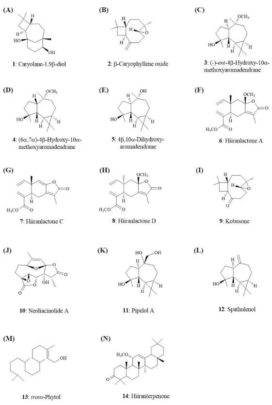 Figure 4 Structures of the secondary metabolites (1–14) from the leaves of N. hiiranensis .