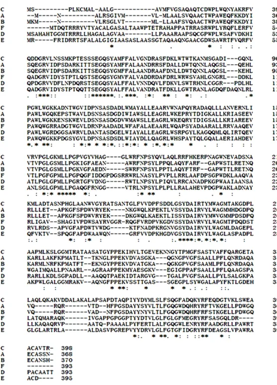 Figure 3 Comparison of EglC protein sequences from different microorganisms. (A) Citrobacter farmeri A1 (This study); (B) Escherichia coli CFT073 (GenBank accession no