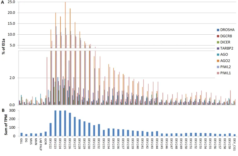 Figure 5 Digital expression analysis in oyster. The expression of the 8 miRNA biogenesis genes were computed in tissue-specific RNA libraries and in RNA libraries from different developmental phases