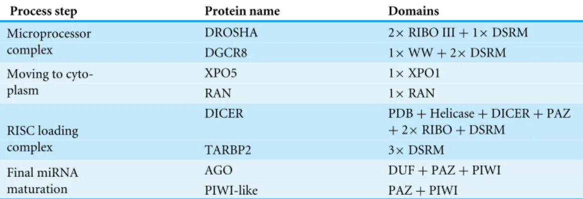 Table 2 Key proteins of the miRNA biogenesis with their structural domains.