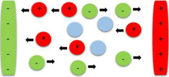 Figure 1. Anions (green) with a negative charge get attracted to- to-ward the positively charged electrode; cations (red) with a positive charge get attracted toward the negatively charged electrode
