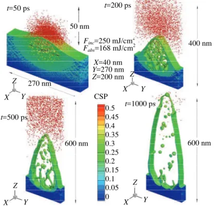 Fig. 6. The sequence of atomic snapshots taken at times 50, 200, 500, and 1000 ps, revealing the dynamics   of the nanostructure formation at the fluence 250 mJ/cm 2 , that is well above the ablation threshold for Au