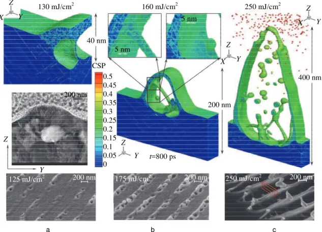 Fig. 7. The obtained in simulations final structures are directly compared [19] with the corresponding experimental  SEM images of 270 nm periodic nanostructuring of gold targets with three different average incident fluences 