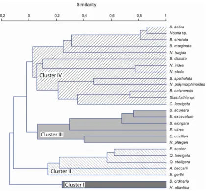 Figure 3.7 – Dendrogram resulting from R-mode cluster analyses (correlation method joined by UPGMA )  based  on the 26 species with total abundance &gt;5%