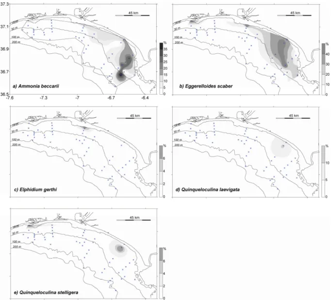 Figure 3.14 – Distribution of species most abundant in shallow waters. a) Ammonia beccarii; b) Eggerelloides  scaber; c) Elphidium gerthi; d) Quinqueloculina laevigata; e) Quinqueloculina stelligera