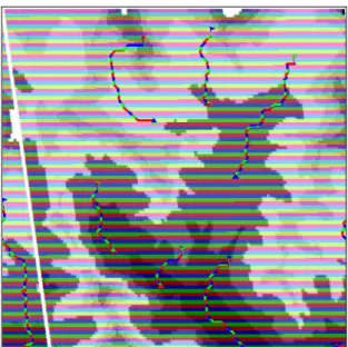 Fig. 5 Starting points (flags), predicted paths (red lines) and predicted stopping points (triangles) of dispersal paths using flow  connectivity