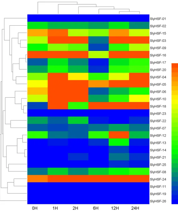 Figure 7 Hierarchical clustering and heat map representation of HSF genes after heat stress treatment.