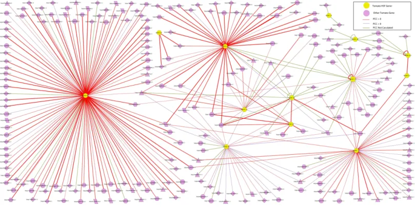 Figure 5 The interaction network of SlyHSF genes according to the networks in Arabidopsis