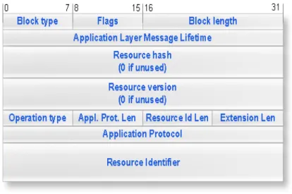 Figure 10. Illustration of an Application-Hint extension block for the  bundle protocol